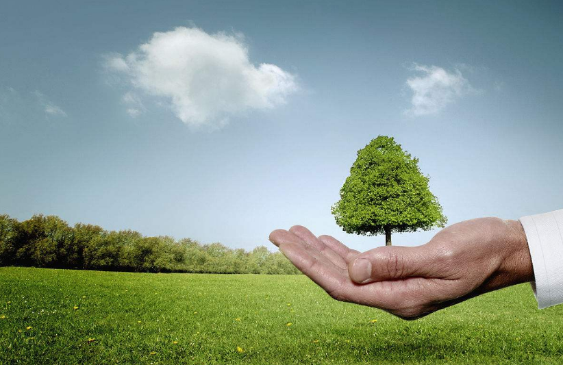 优发国际木业——以行动守护蓝天