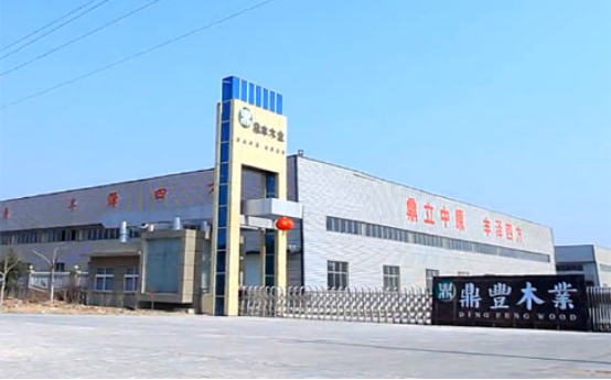 【专访】优发国际股份副总经理陈晓东：灵活布局发掘强劲产能 助力项目成果“落地生金”